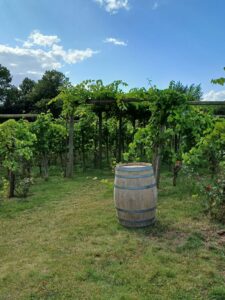 Weingut Flädie Mat & Vingård Lund, Weingut, Flädie Mat och Vingârd