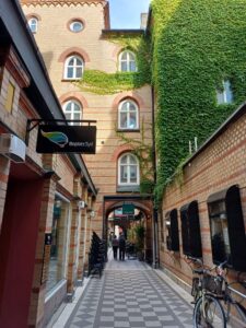 Malmö, Stortorget, Lejonet Passagen