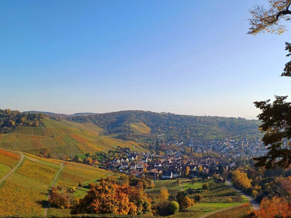 Stuttgart-Rotenberg, Weinberge, Uhlbach