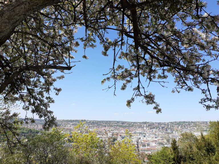 Stuttgart, Weißenburgpark, Aussicht