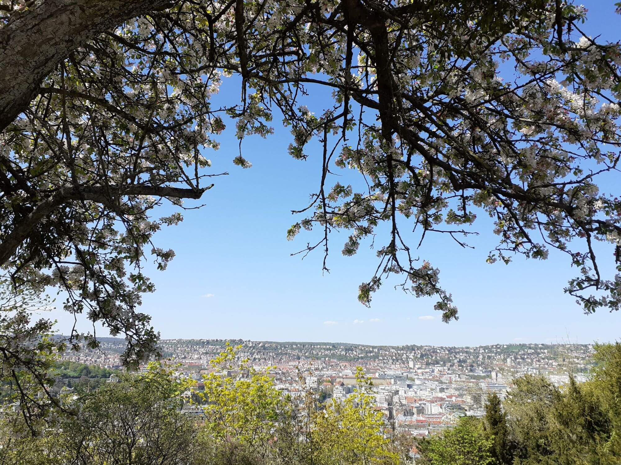 Stuttgart, Weißenburgpark, Aussicht