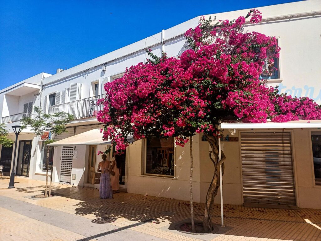 Formentera, Sant Francesc
