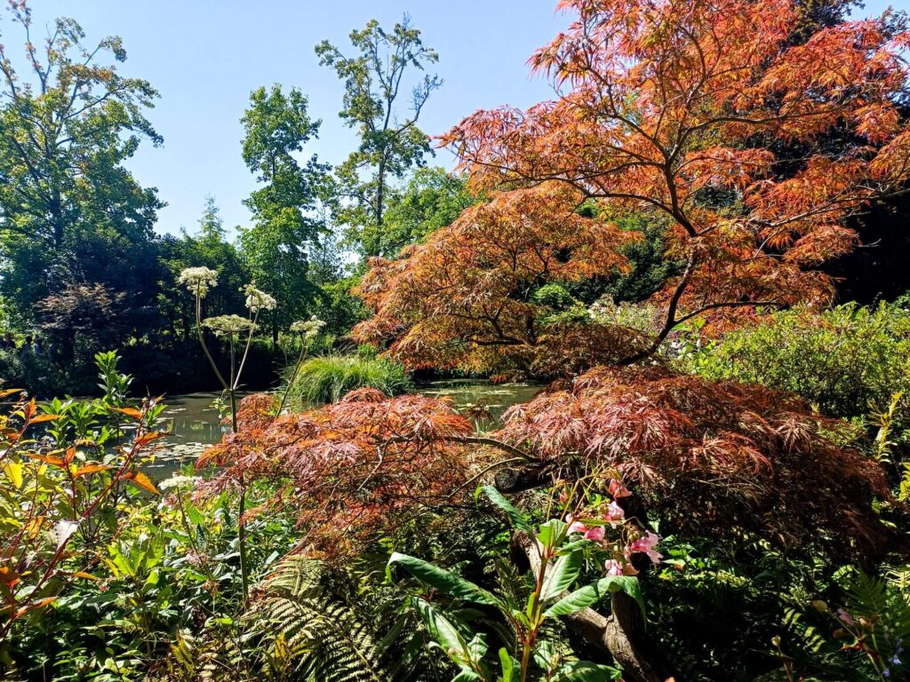 Giverny, Monet, Gärten