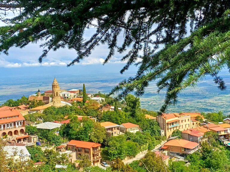 Georgien, Sighnaghi, Alasani-Ebene