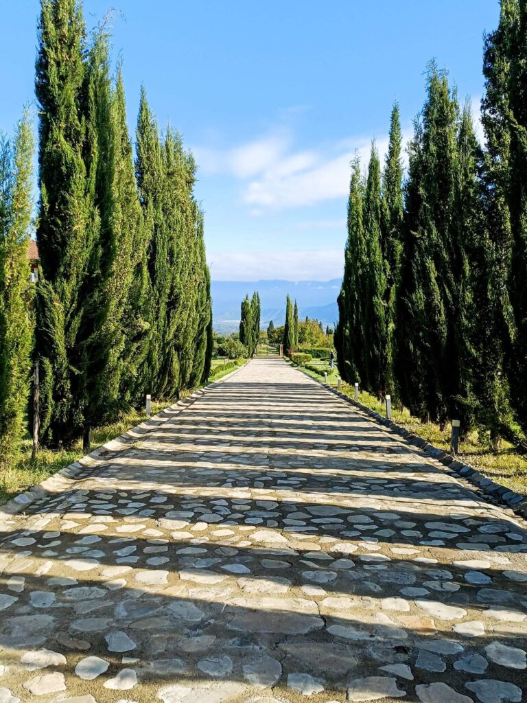 Georgien, Kachetien, Weingut