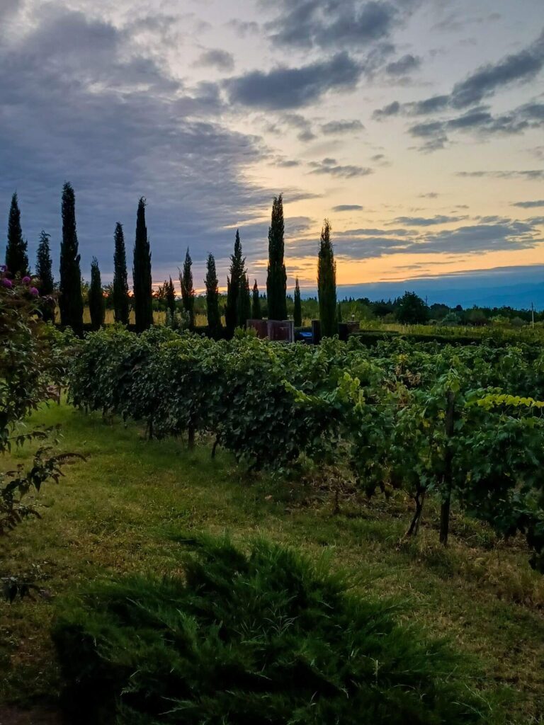 Georgien, Kachetien, Wein
