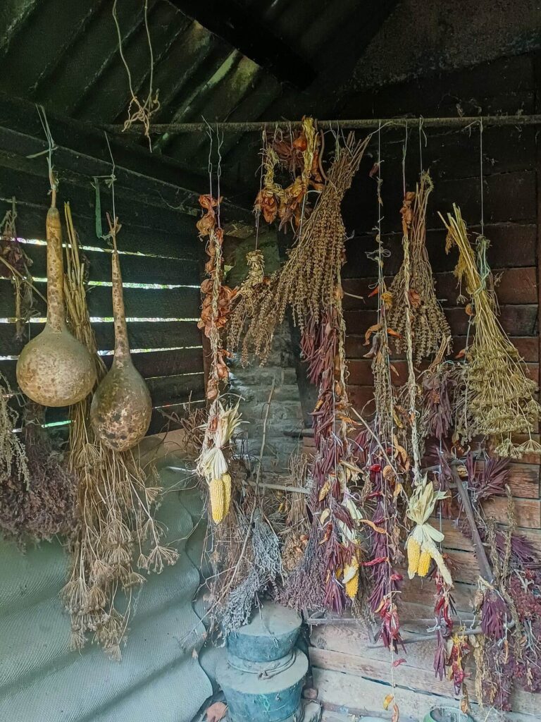 Georgien, Kachetien, Wolle