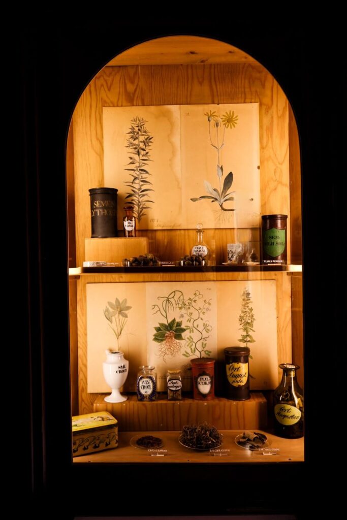 Heidelberg, Deutsches Apotheken-Museum