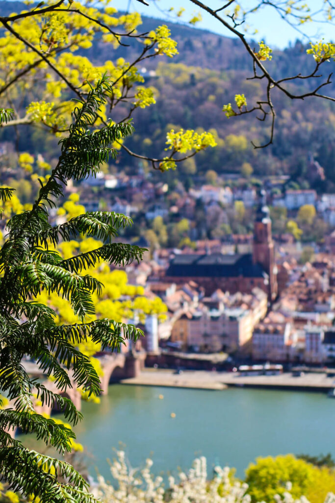 Heidelberg, Philosophenweg