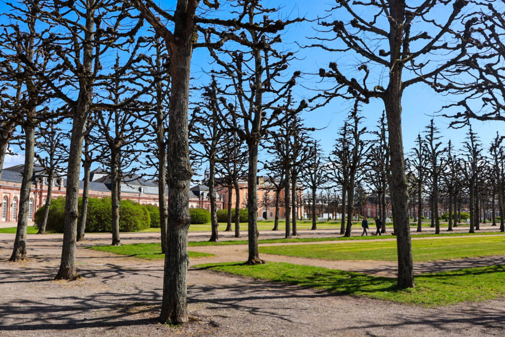 Schwetzingen, Schloss, Zirkelbau