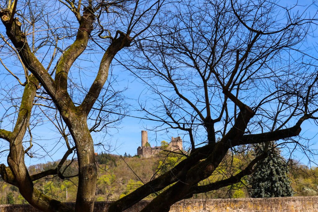 Weinheim, Schlossgarten, Windeck