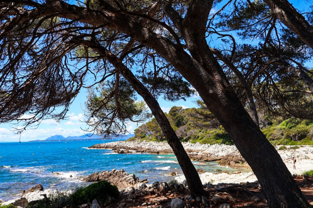 Antibes, Cap, Sentier Littoral
