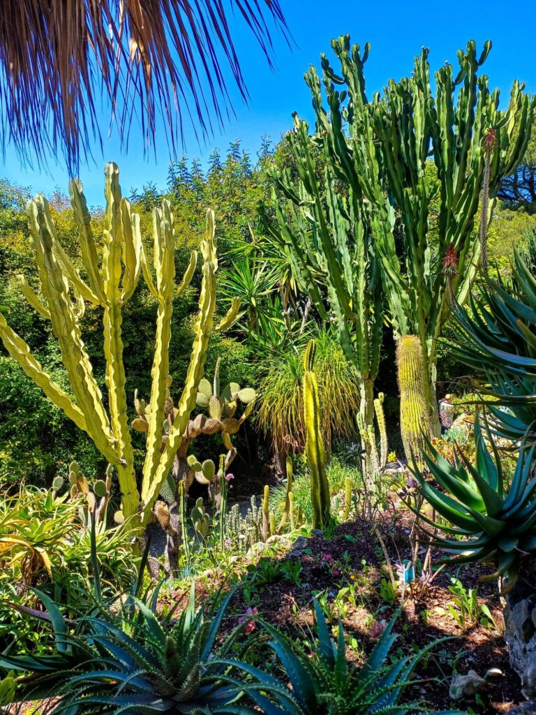 Villa Ephrussi de Rothschild, exotischer Garten