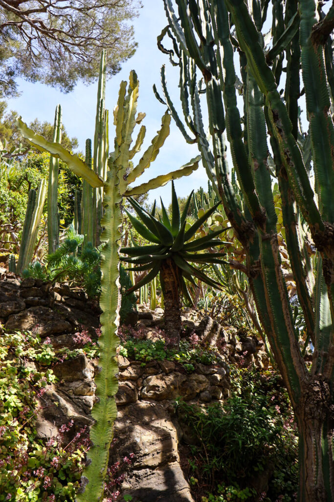 Villa Ephrussi de Rothschild, exotischer Garten