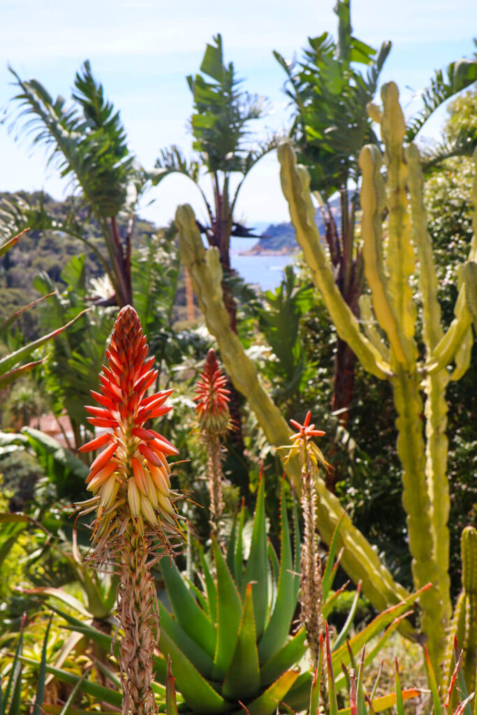 Villa Ephrussi de Rothschild, exotischer Garten