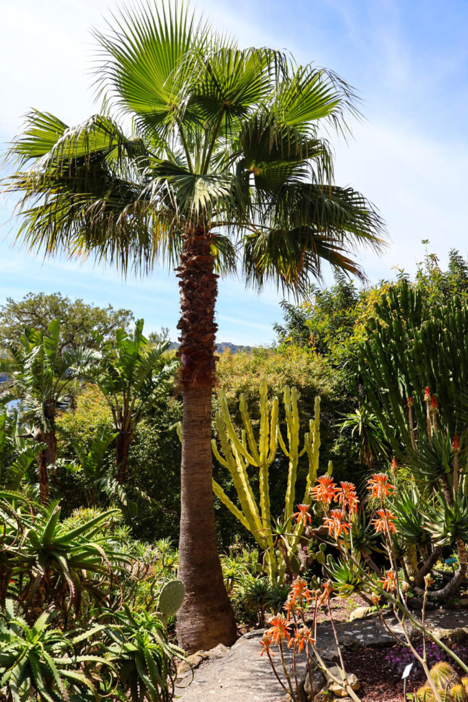 Villa Ephrussi de Rothschild, Garten