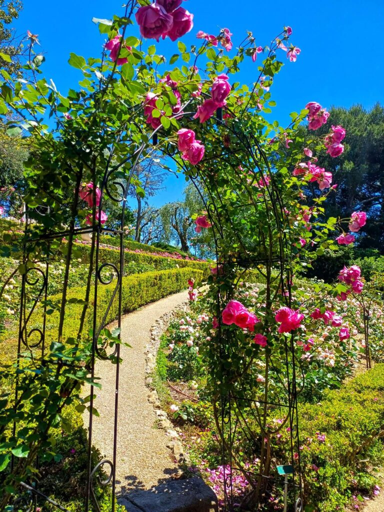 Villa Ephrussi de Rothschild, Rosengarten