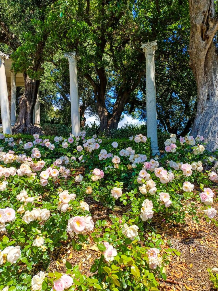 Villa Ephrussi de Rothschild, Rosengarten