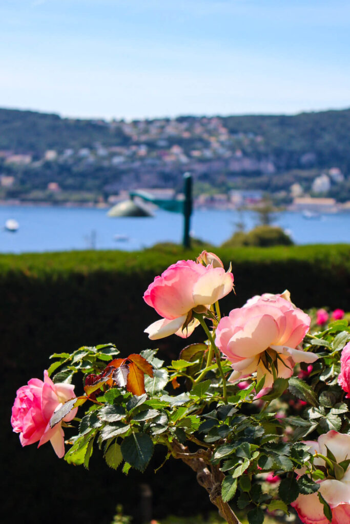 Villa Ephrussi de Rothschild, Rosengarten