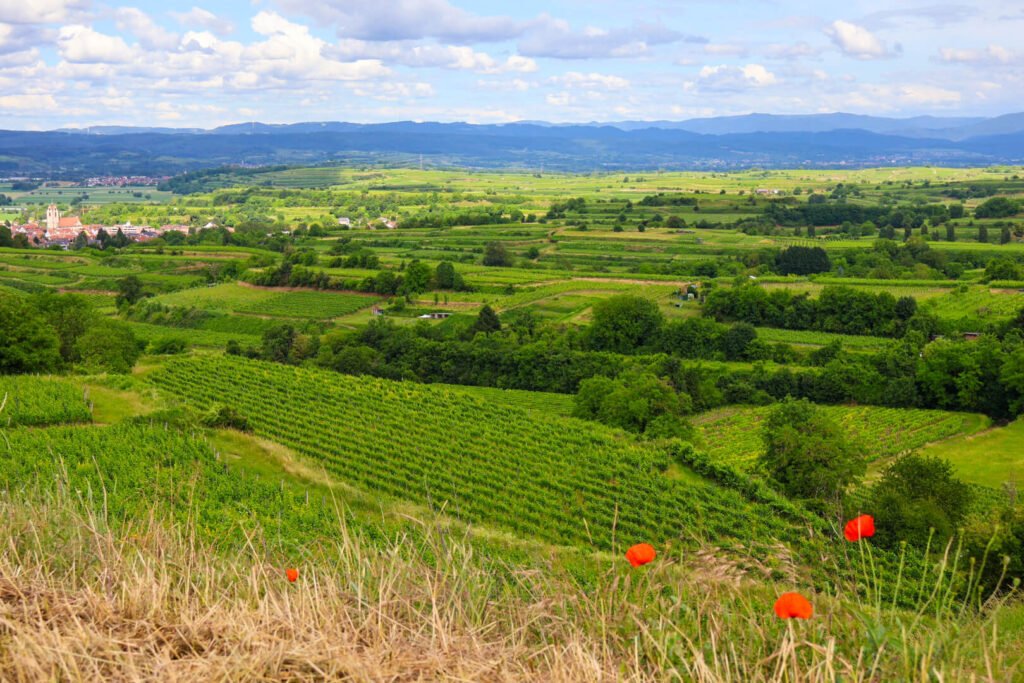Freiburg, Endingen, Kaiserstuhl