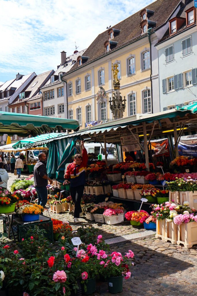 Freiburg, Altstadt, Markt