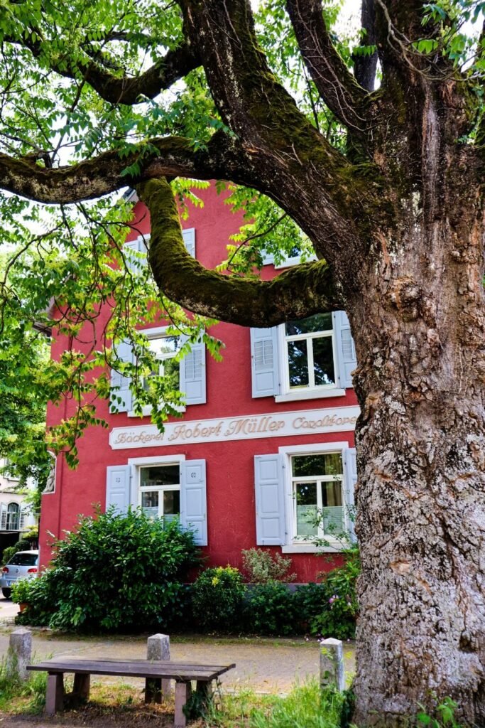 Freiburg, Wiehre