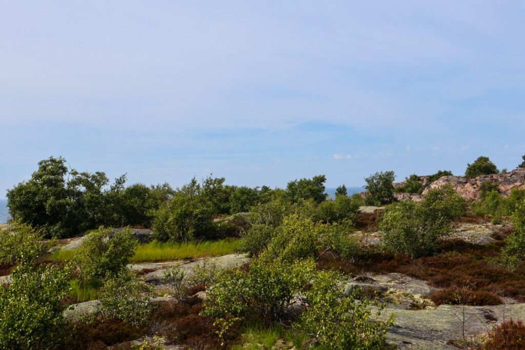 Åland, Källskär, Pflanzen