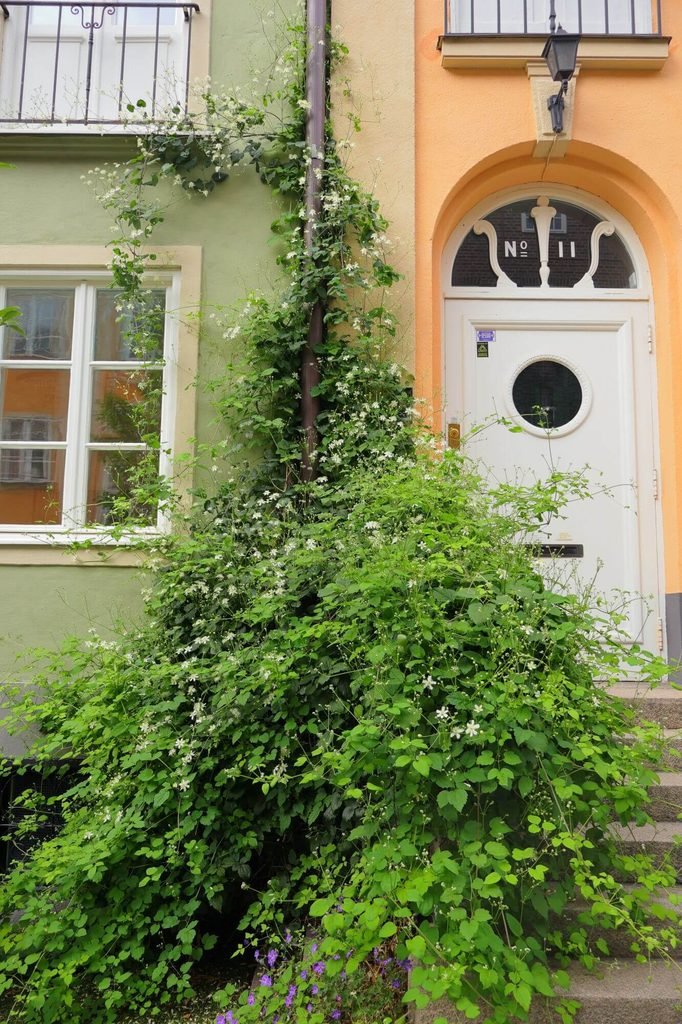 Stockholm, Danderyds gatan